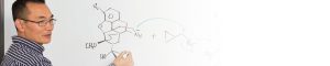 Active Pharmaceutical Ingredients
